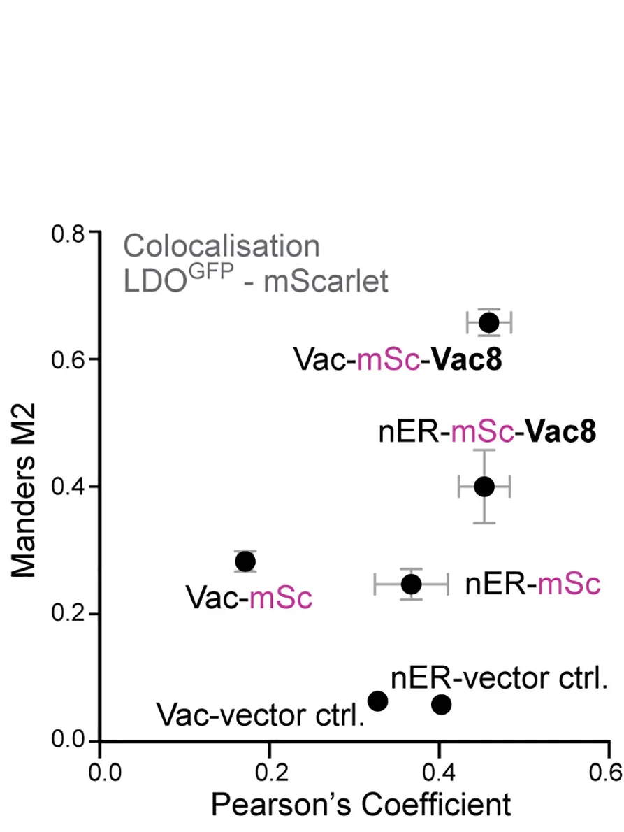 Open access visualization of Scatter Plot, Error Bars, Co-localization Analysis, LDOGFP, mScarlet
