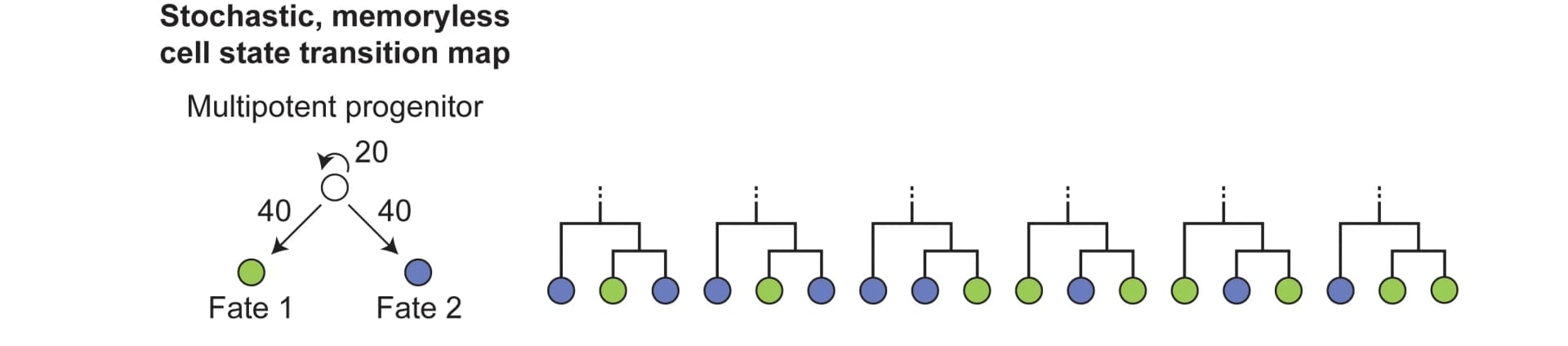 Open access visualization of Pathway, Cell State Transition, Multipotent Progenitor, Lineage Trees, Fate Correlations