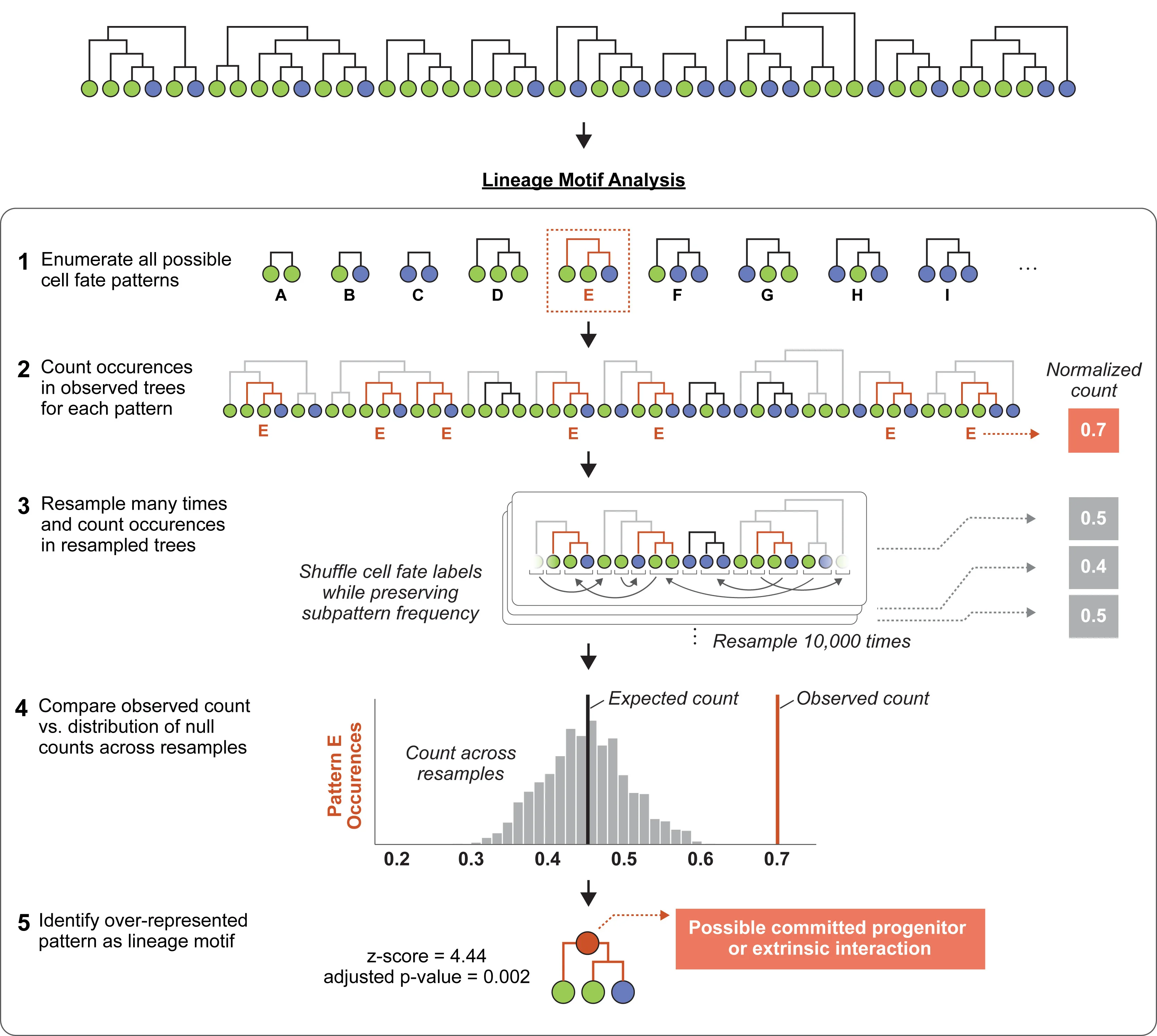 Open access visualization of Workflow, Flowchart, Illustration, Histogram, LMA Workflow