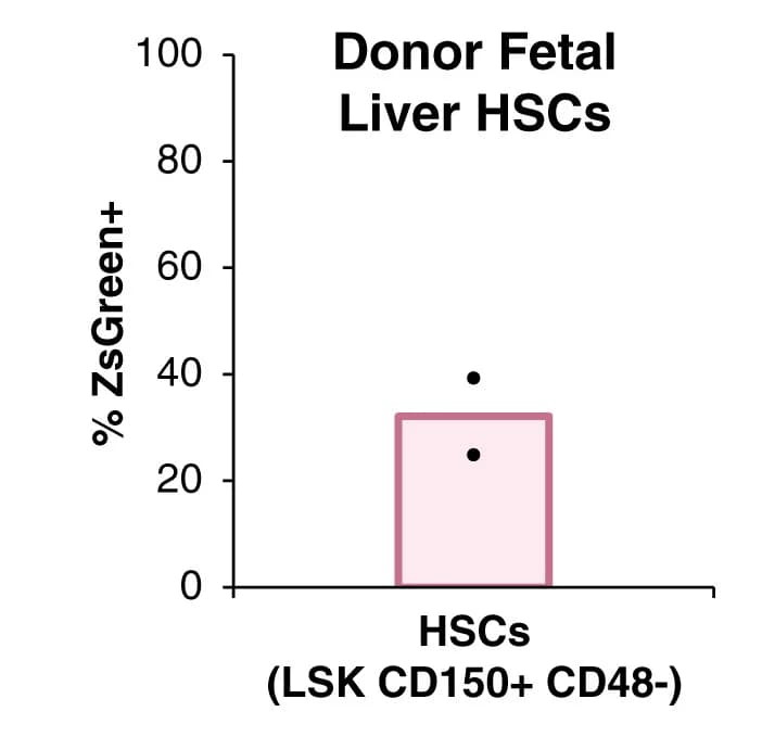 Open access visualization of Bar Plot, Scatter Plot, Fetal Liver HSCs, Flow Cytometry, Transplantation