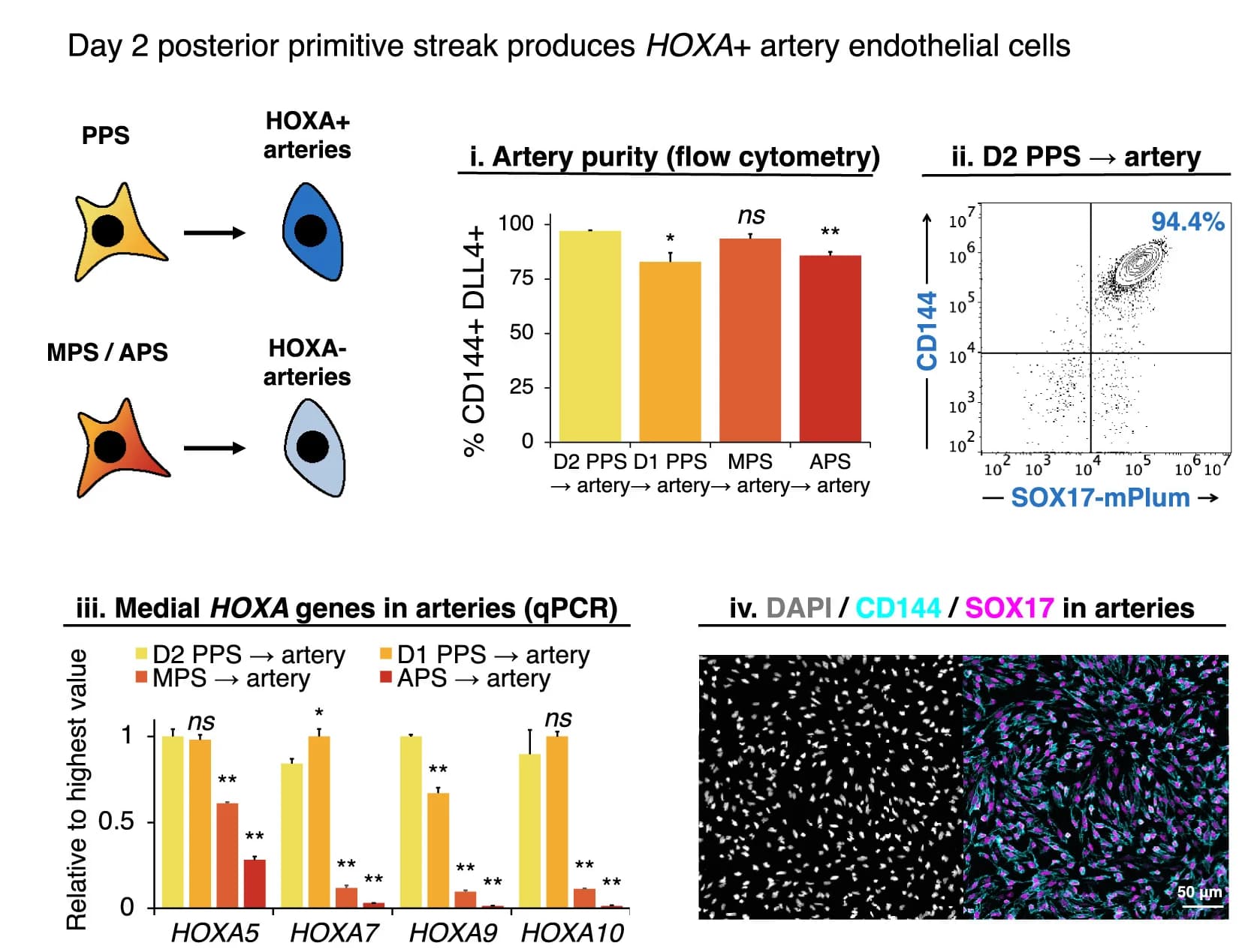 Open access visualization of Bar Plot, Scatter Plot, Microscopy, Illustration, hPSCs