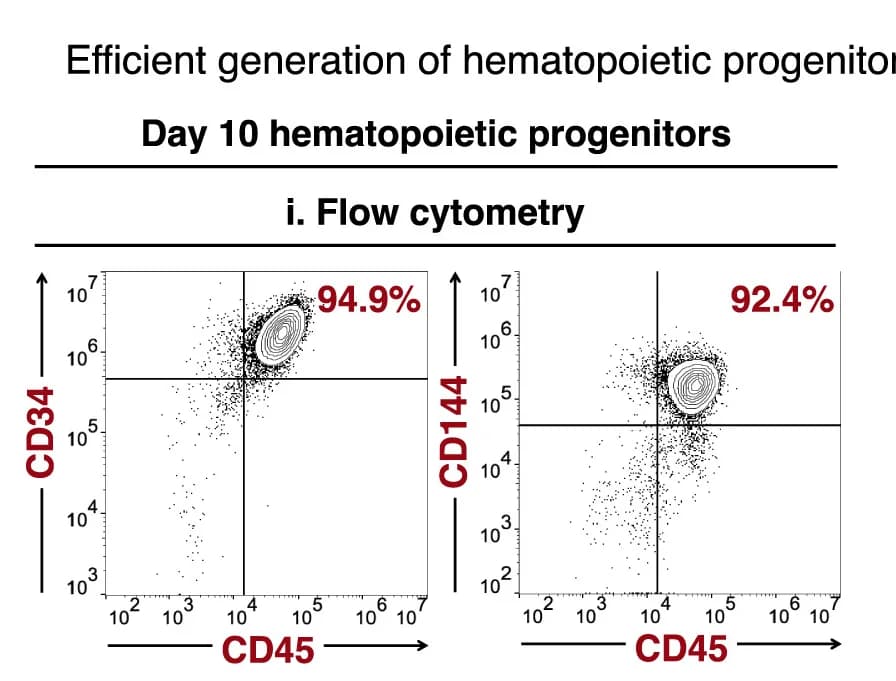 Open access visualization of Scatter Plot, Flow Cytometry, Cell Yield, Hematopoietic Progenitors