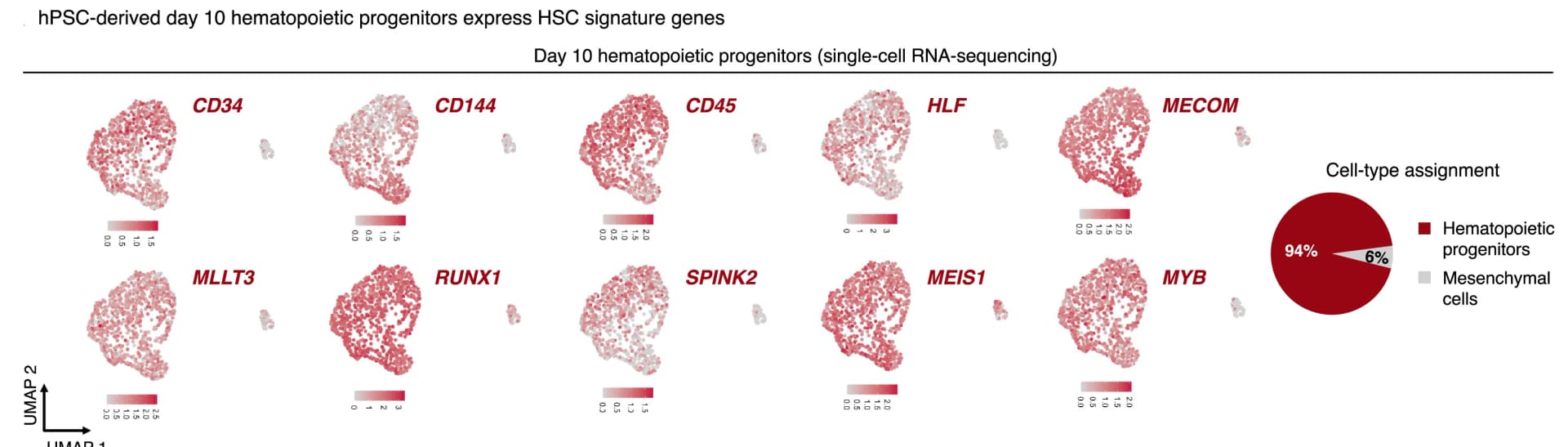 Open access visualization of UMAP, Pie Chart, scRNA-seq, Hematopoietic Progenitors, Gene Expression