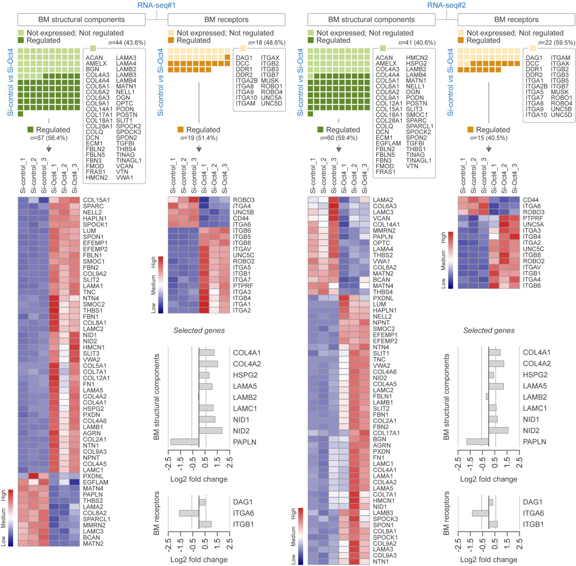 Open access visualization of Heatmap, Bar Plot, Basement Membrane, Structural Components, Receptors