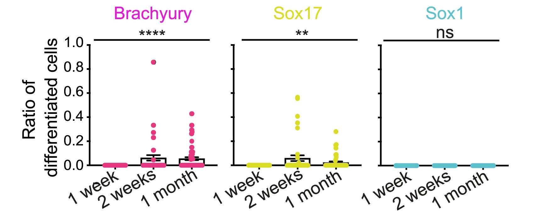 Open access visualization of Box Plot, Scatter Plot, Differentiated Cells, 3D EpiSCs, Brachyury