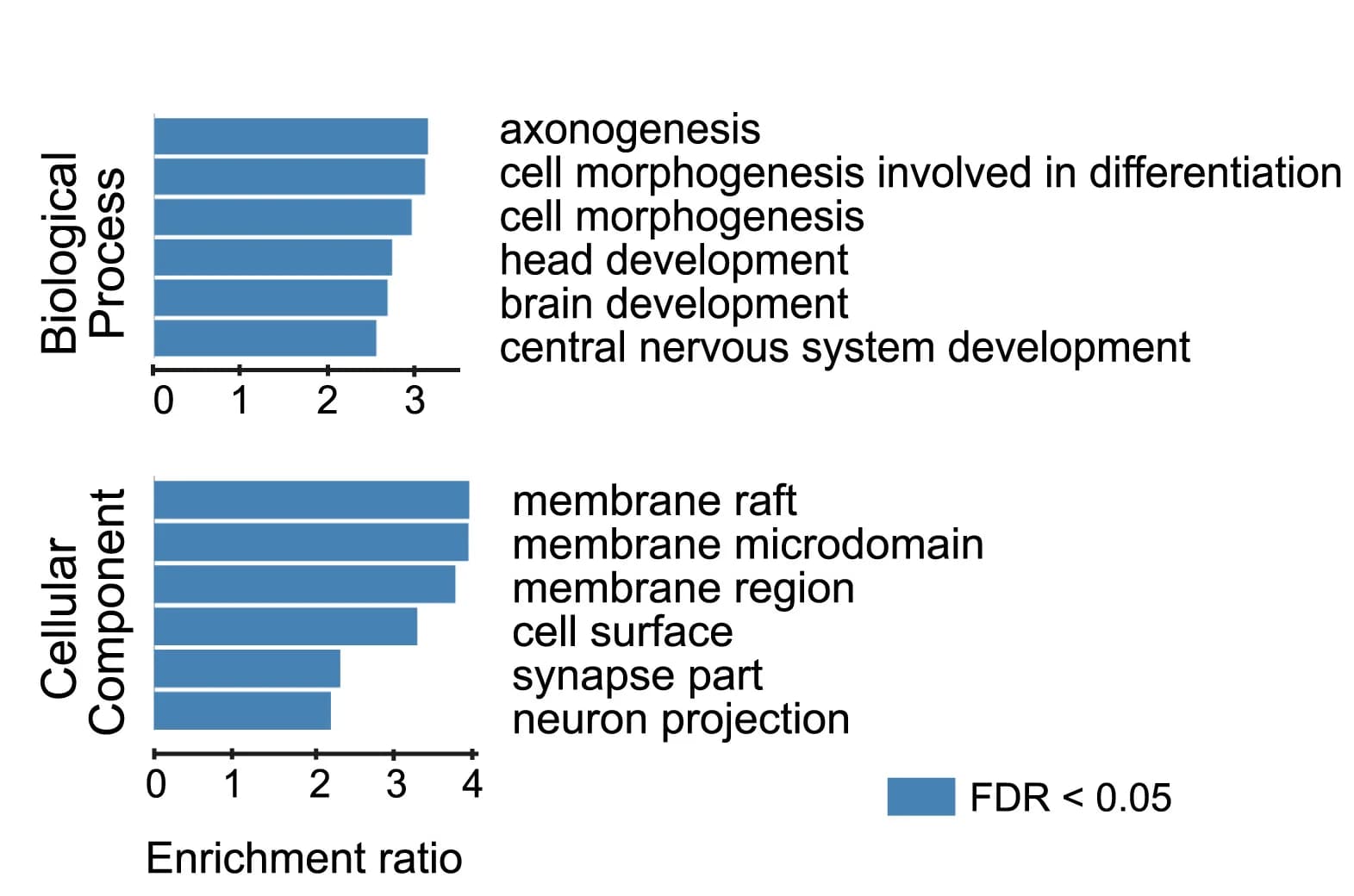 Open access visualization of Bar Plot, GO Term Analysis, Biological Processes, Cellular Components, 2D EpiSCs
