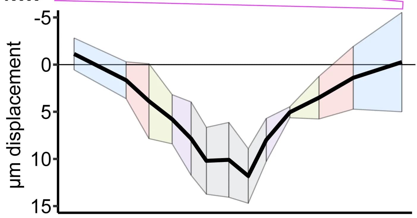 Open access visualization of Line Plot, Error Bars, Cell Displacement, Wound Healing, Epidermis