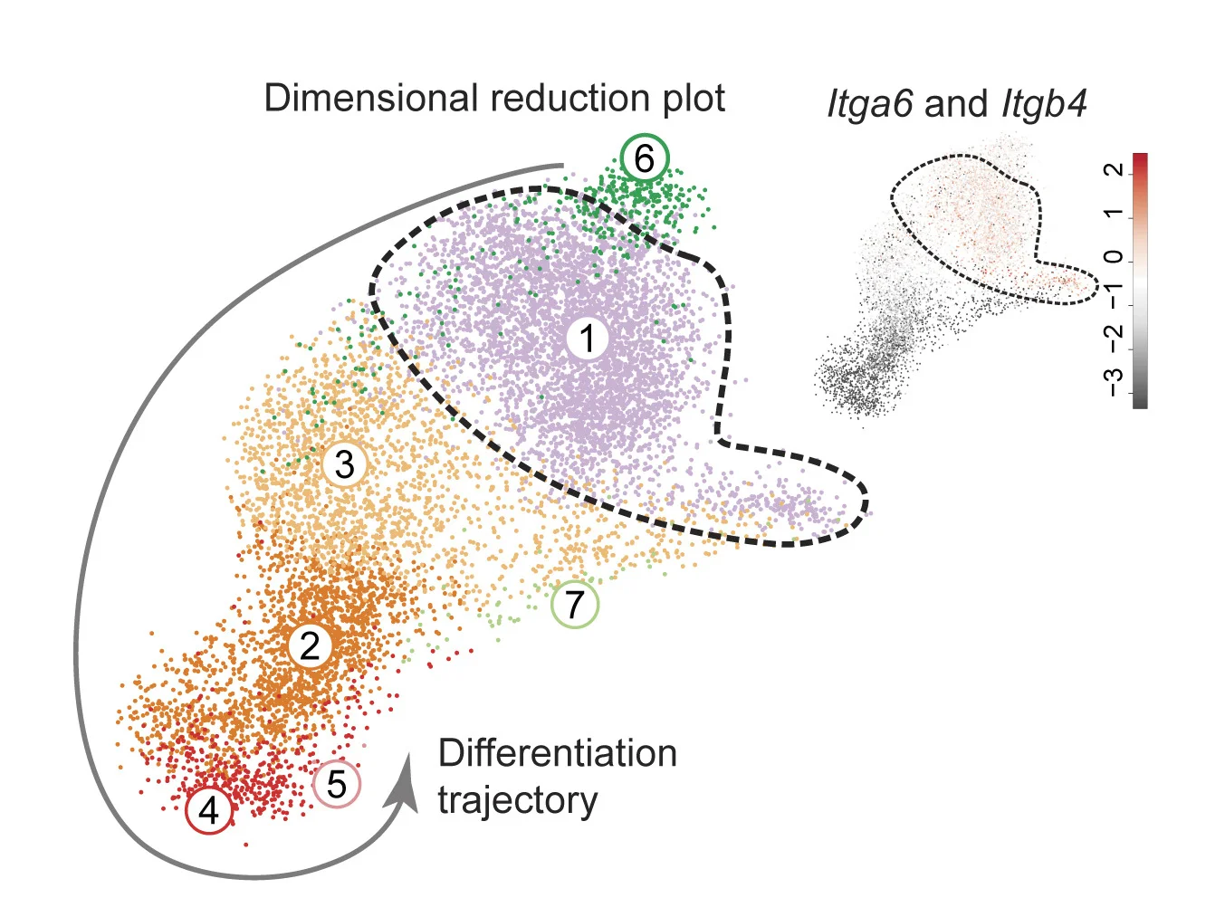 Open access visualization of Scatter Plot, UMAP, PCA, Esophageal Epithelial Cells, Progenitor Cells