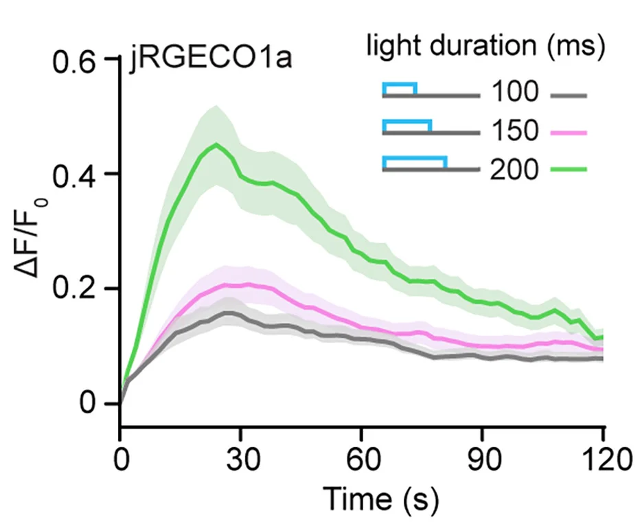 Open access visualization of Line Plot, Error Bars, Ca2+ Kinetics, jRGECO1a, Blue Light