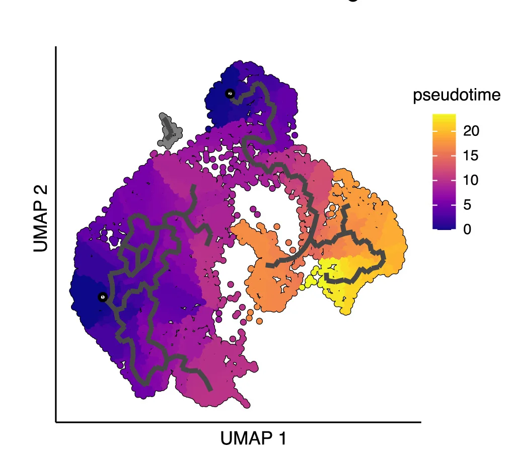 Open access visualization of Scatter Plot, UMAP, Line Plot, Pseudotime Analysis, scRNA-seq