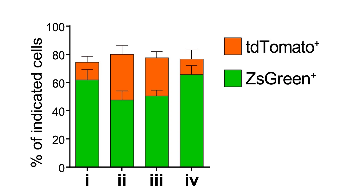 Open access visualization of Stacked Bar Plot, Error Bars, BMSC, CL-PC Lineages, FL-PC Lineages