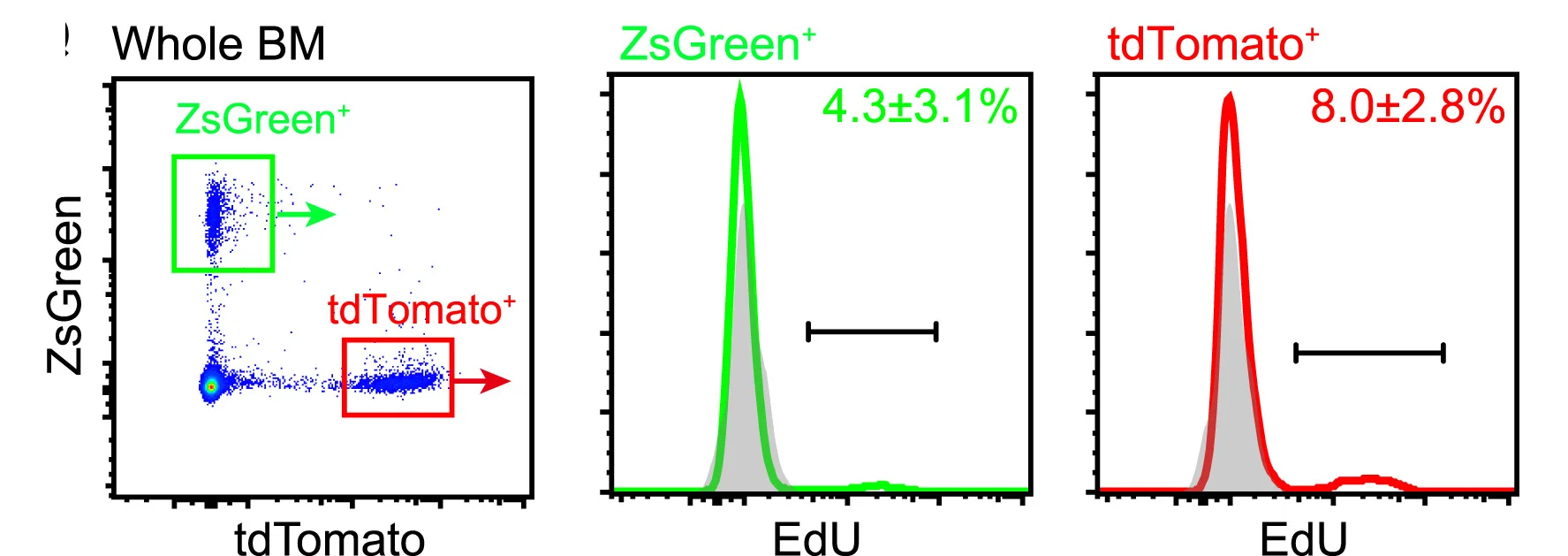 Open access visualization of Scatter Plot, Line Plot, Density Plot, Flow Cytometry, EdU Incorporation
