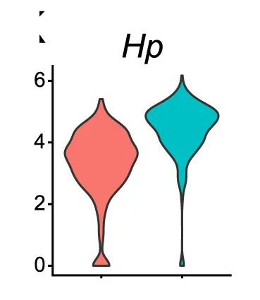 Open access visualization of Violin Plot, Violin Plots, Expression Levels, Hp, Bone Marrow Stromal Cells