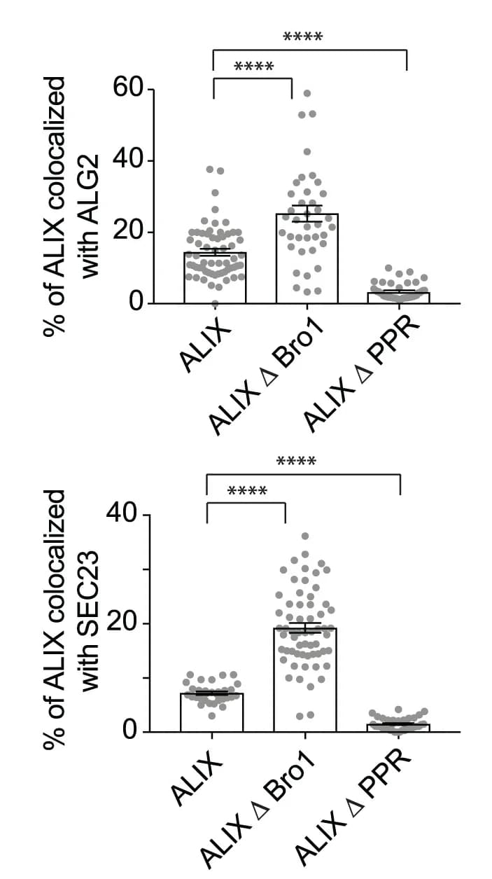 Open access visualization of Bar Plot, Error Bars, Scatter Plot, ALIX, ALG2