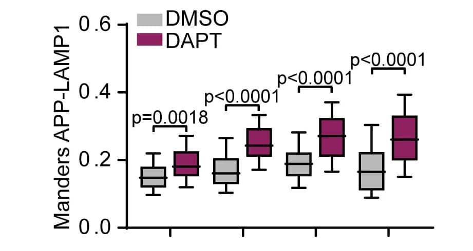 Open access visualization of Box Plot, Mander’s Overlap Coefficient, APP, LAMP1, APP-CTFs