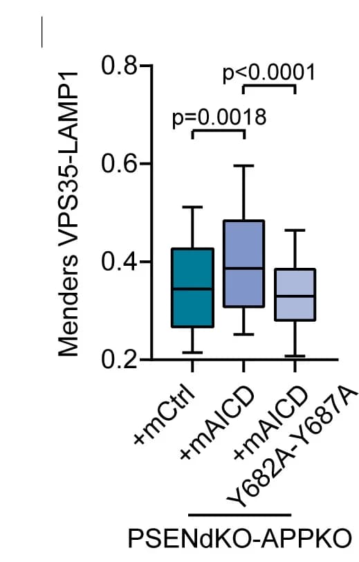 Open access visualization of Box Plot, MOC, Co-localization, VPS35, LAMP1
