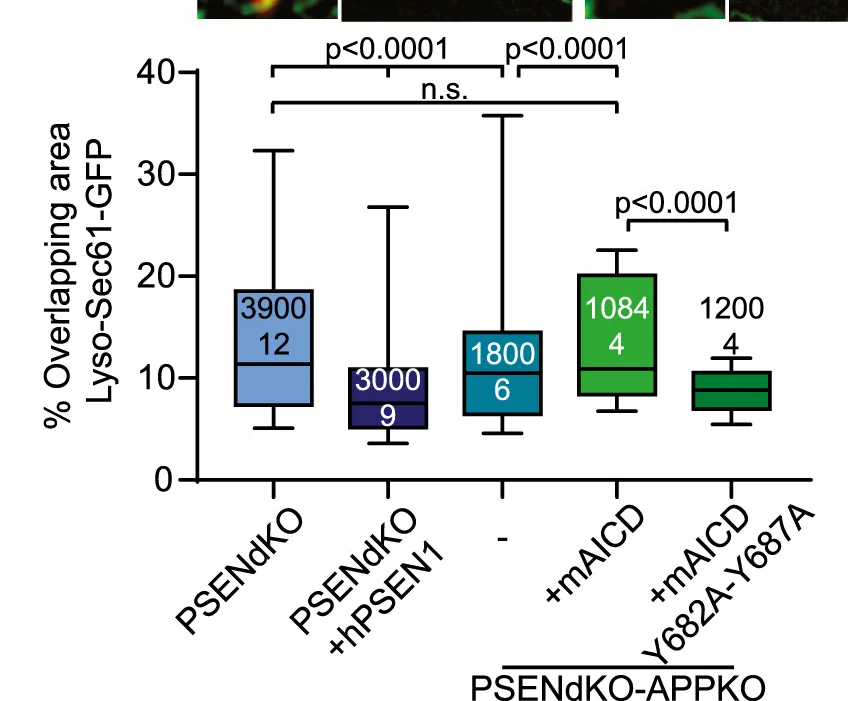 Open access visualization of Box Plot, Overlap Analysis, LysoTracker, Organelles, GFP-Sec61b