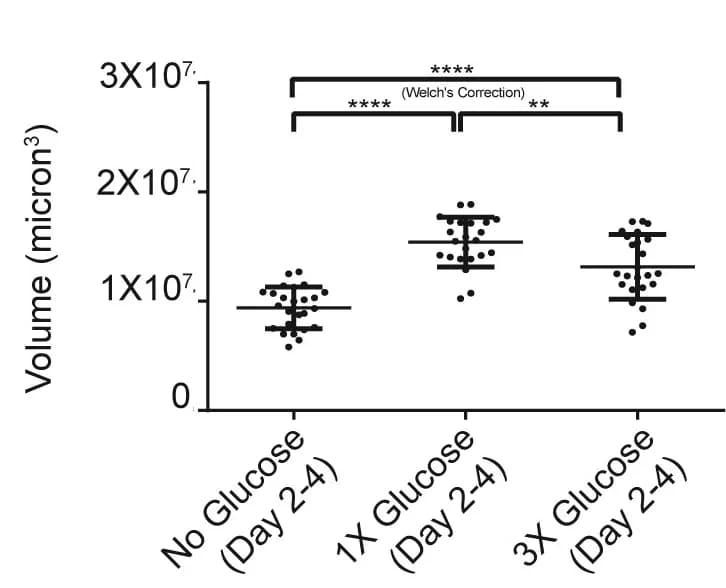 Open access visualization of Scatter Plot, Graph, Gastruloids, Glucose, Volume