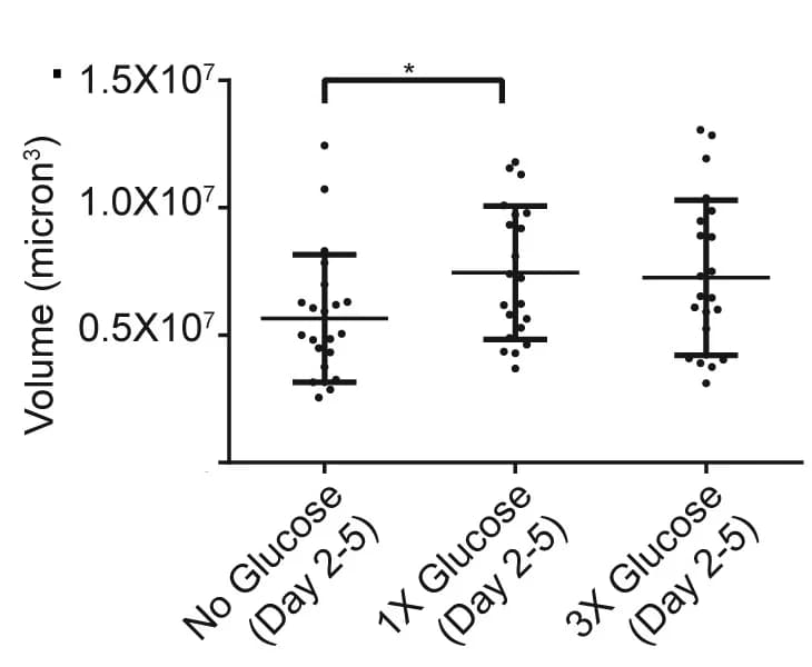 Open access visualization of Scatter Plot, Error Bars, Graph, Gastruloids, Glucose
