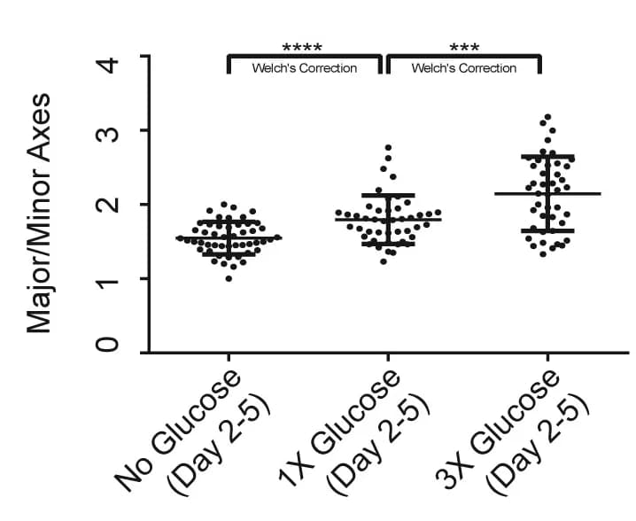 Open access visualization of Scatter Plot, Error Bars, Graph, Major Axis, Minor Axis