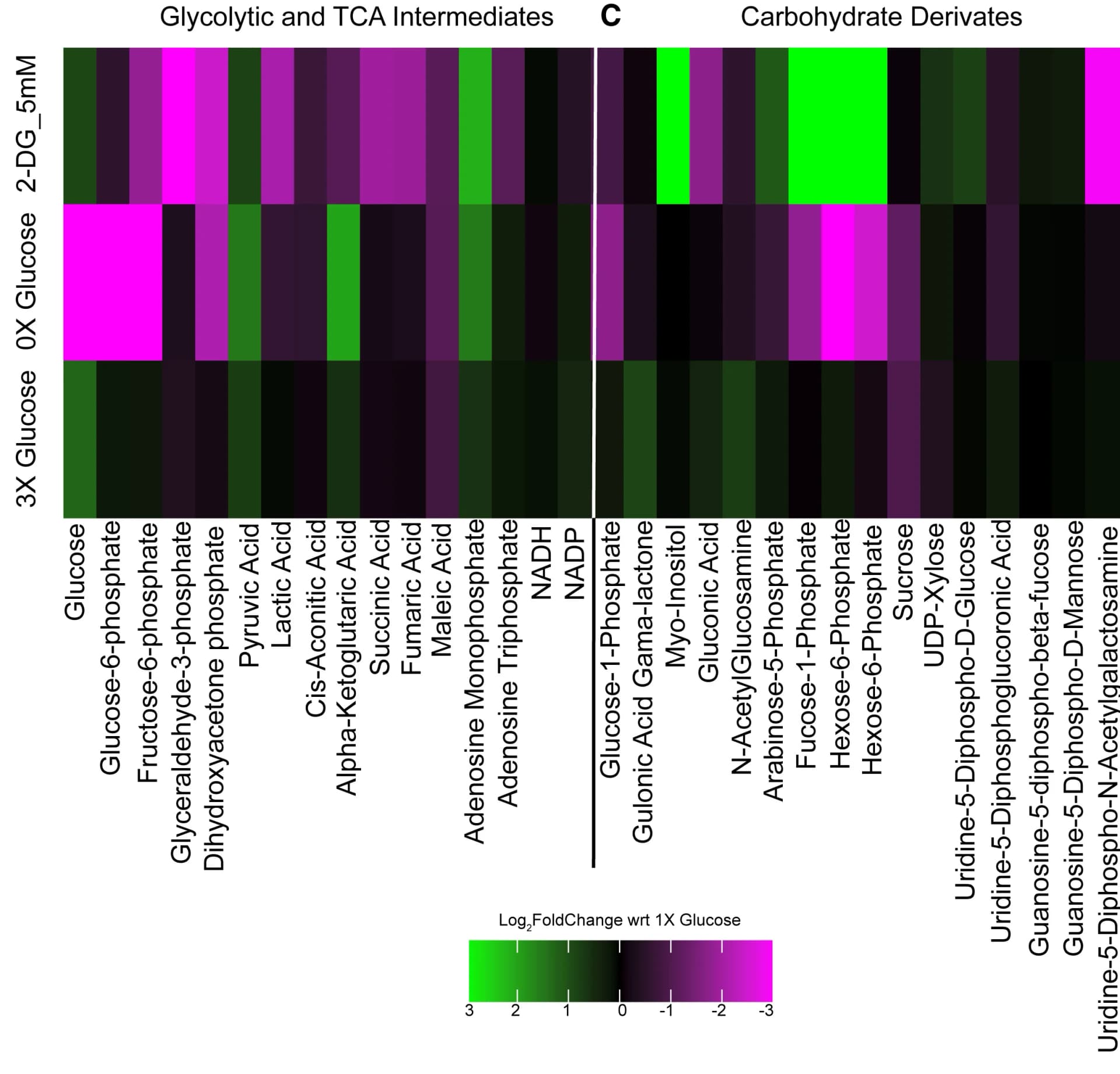 Open access visualization of Heatmap, Log2FoldChange, Glycolytic Intermediates, Glucose