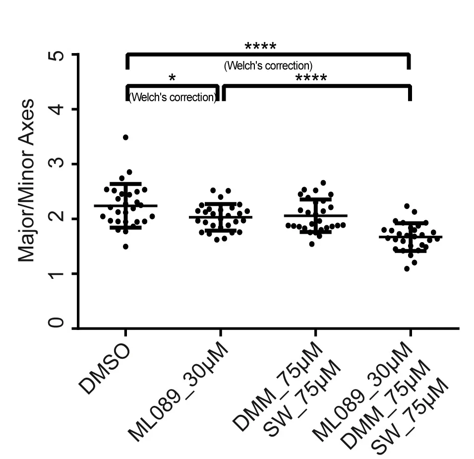 Open access visualization of Scatter Plot, Error Bars, Gastruloids, Major Axis, Minor Axis