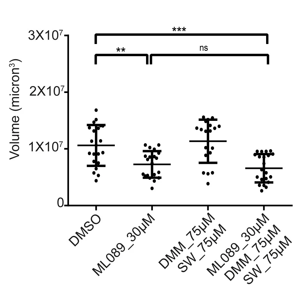 Open access visualization of Scatter Plot, Error Bars, Gastruloids, Volume, DMSO
