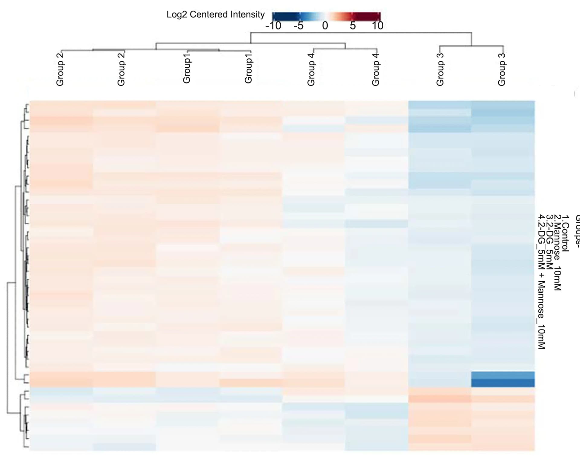 Open access visualization of Heatmap, Clustered, Glycoproteins, Abundance