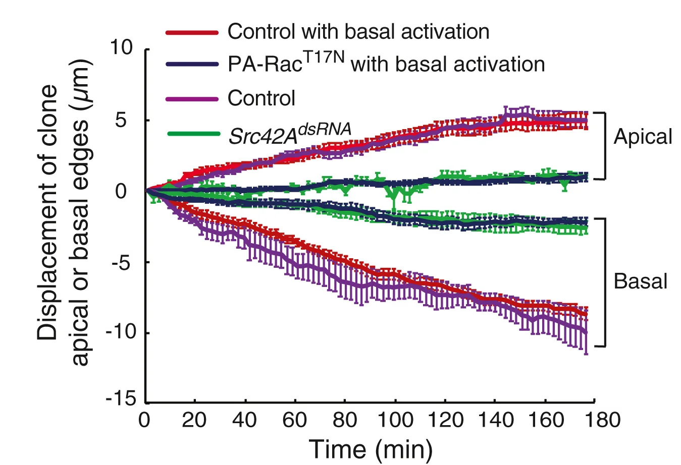 Open access visualization of Line Plot, Error Bars, Displacement, Anterior-Posterior Axis, Apical Edges