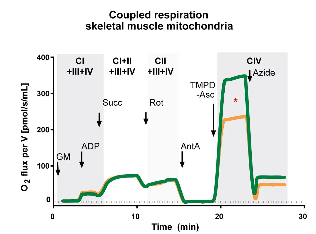 Open access visualization of Line Plot, Oxygraphy, Skeletal Muscle, Mitochondria, Zebrafish