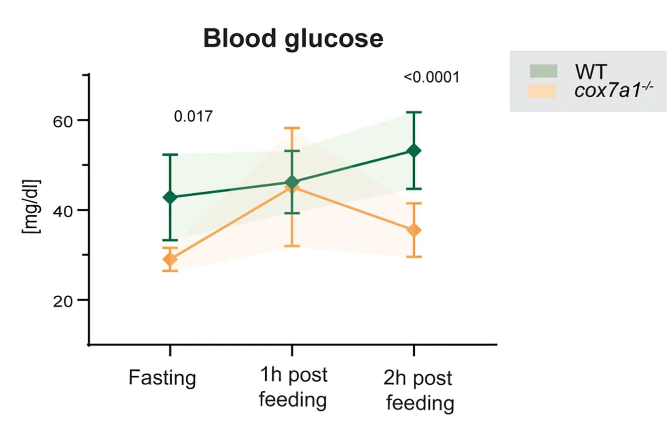 Open access visualization of Line Plot, Error Bars, Blood Glucose Levels, Fasting Condition, Post Feeding