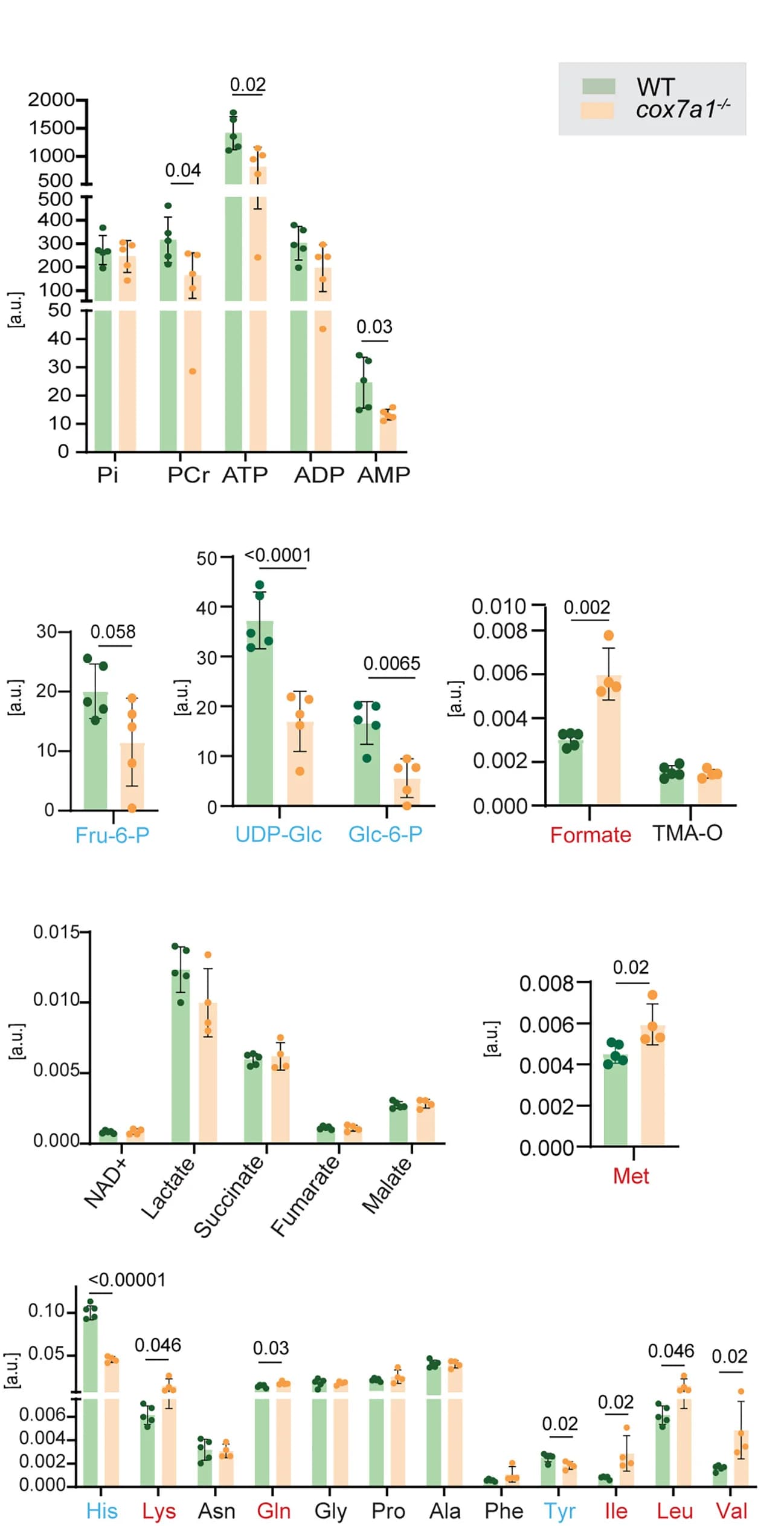 Open access visualization of Bar Plot, Error Bars, Scatter Plot, Metabolites, NMR Spectroscopy