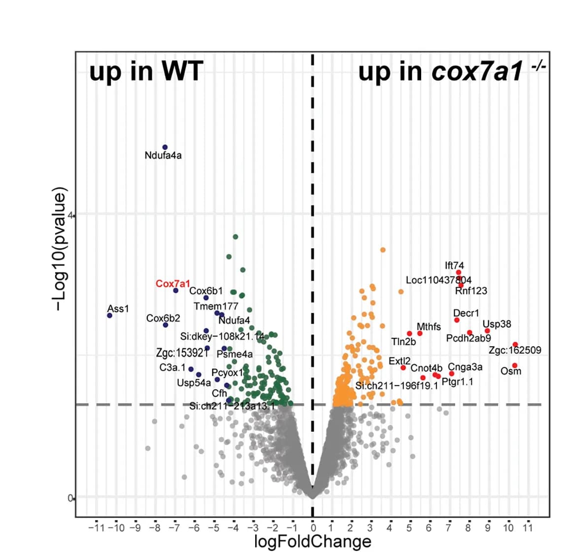 Open access visualization of Volcano Plot, Scatter Plot, Proteomics, Differential Expression