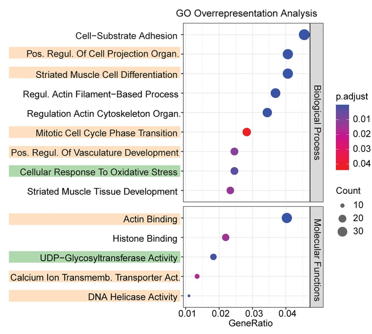 Open access visualization of Scatter Plot, Bubble Plot, Gene Ontology, Pathway Analysis, RNA Sequencing