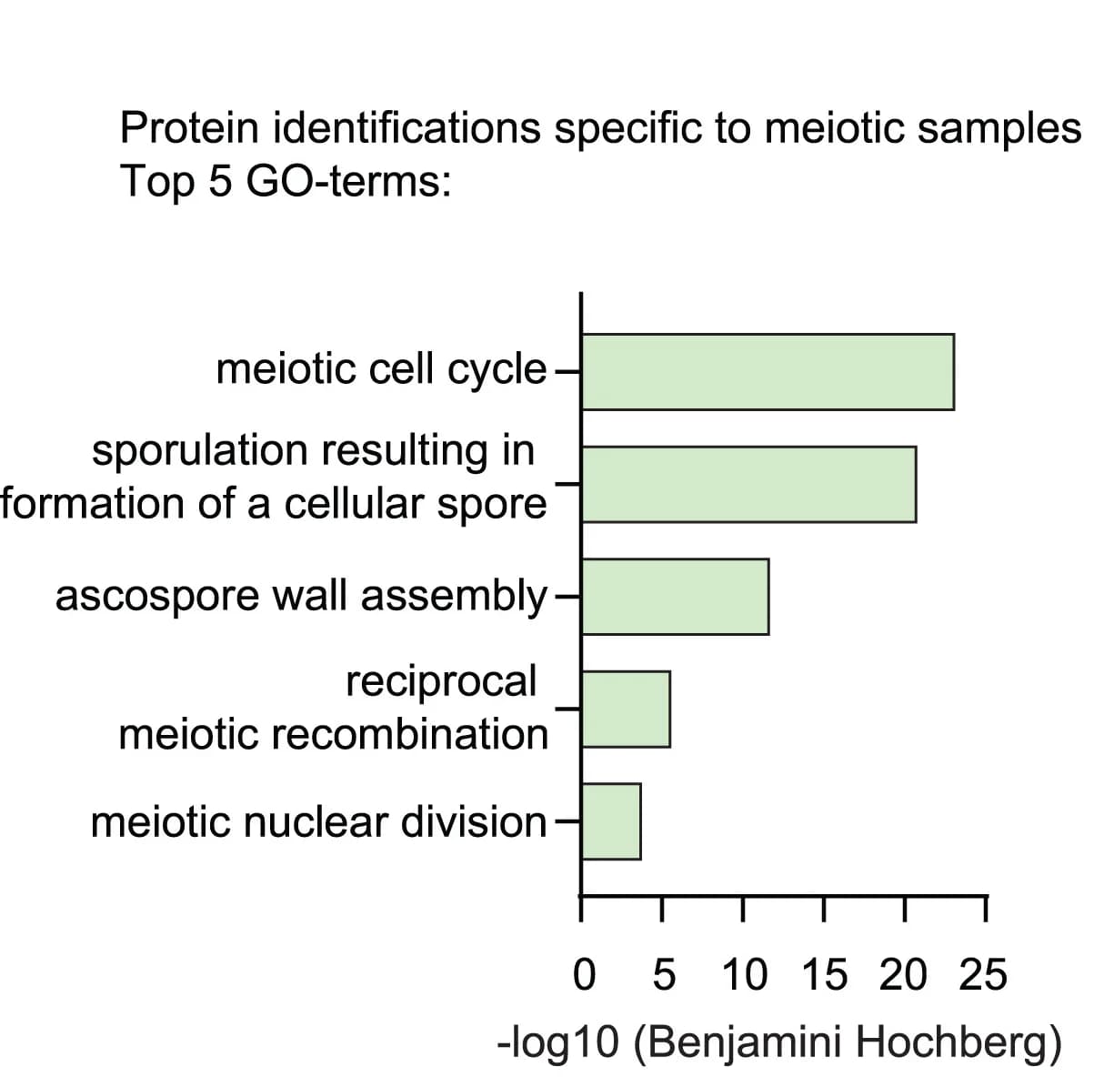 Open access visualization of Bar Plot, Gene Ontology Analysis, Meiosis, Proteins, Statistical Analysis