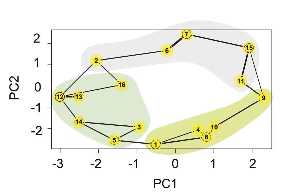 Open access visualization of Scatter Plot, PCA, Line Plot, Network, Principal Component Analysis