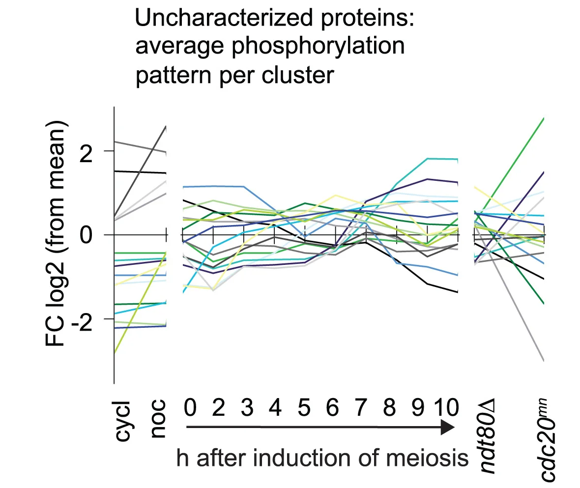 Open access visualization of Line Plot, SWATH-MS, Expression Profiles, Phosphopeptides, Uncharacterized Open Reading Frames