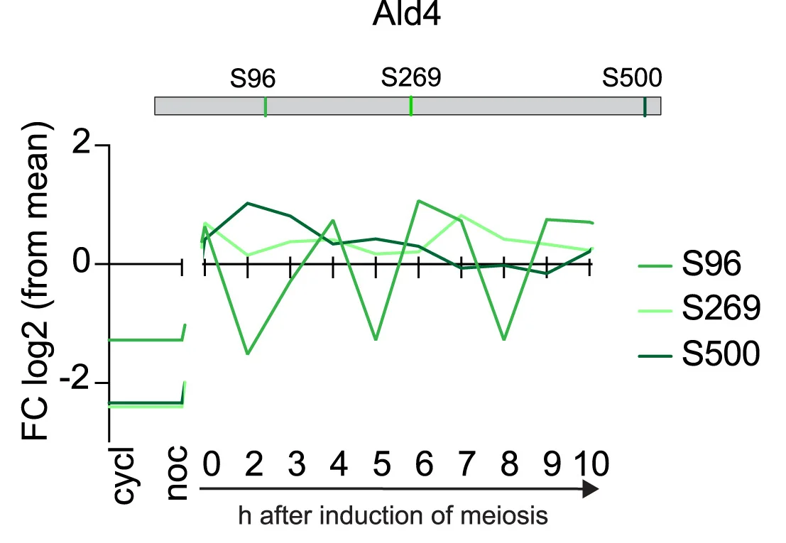 Open access visualization of Line Plot, Ald4, Phosphopeptide, Expression, Phosphorylation Sites