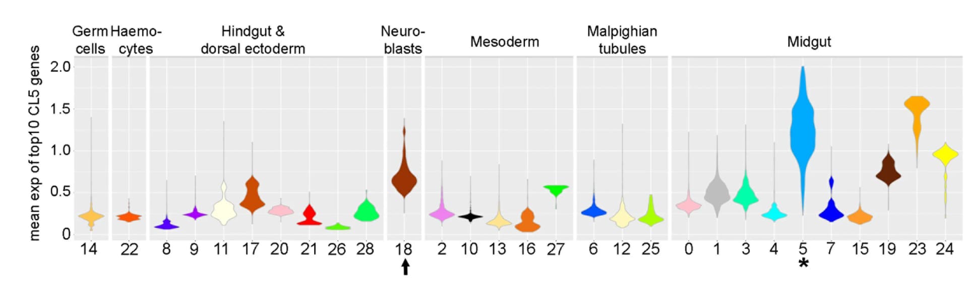 Open access visualization of Violin Plot, Gene Expression, Cell Clusters, Cluster 5