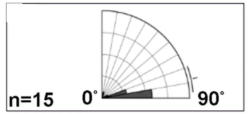 Open access visualization of Rose Diagram, Rose Plots, Mitotic Spindle Orientation, Control Endoblasts, Endoblast Spindles