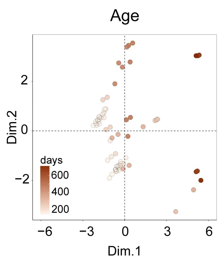 Open access visualization of Scatter Plot, Injections, FAMD, Score, Age
