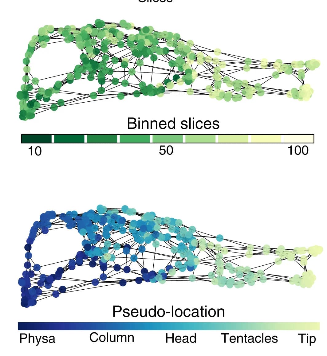 Open access visualization of Network, SPRING Embedding, Slice Indices, Pseudo-location, Diffusion Map
