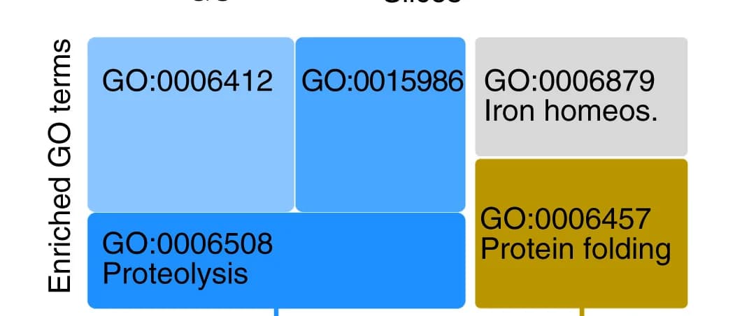 Open access visualization of Treemap, GO Enrichment Analysis, Spatial DE Genes