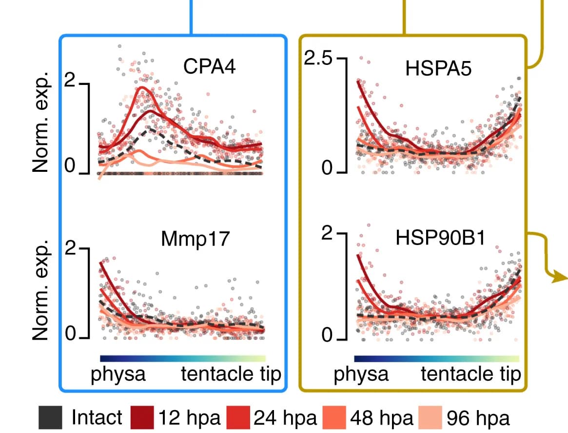 Open access visualization of Scatter Plot, Line Plot, Gene Expression, Spatial Location, Scatterplot