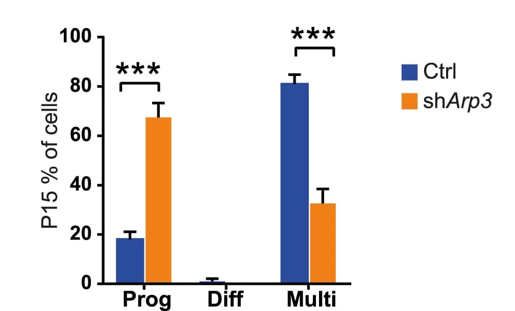 Open access visualization of Bar Plot, Clustered, Error Bars, Transfected Cells, Progenitors