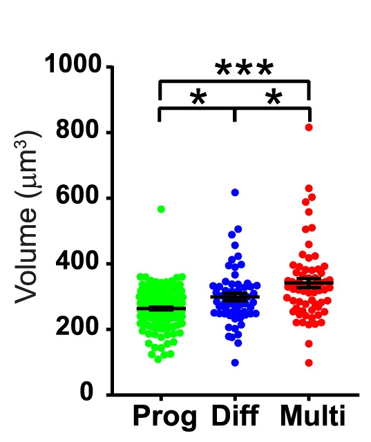 Open access visualization of Scatter Plot, Nuclear Shapes, Imaris segmented nuclei, Volume