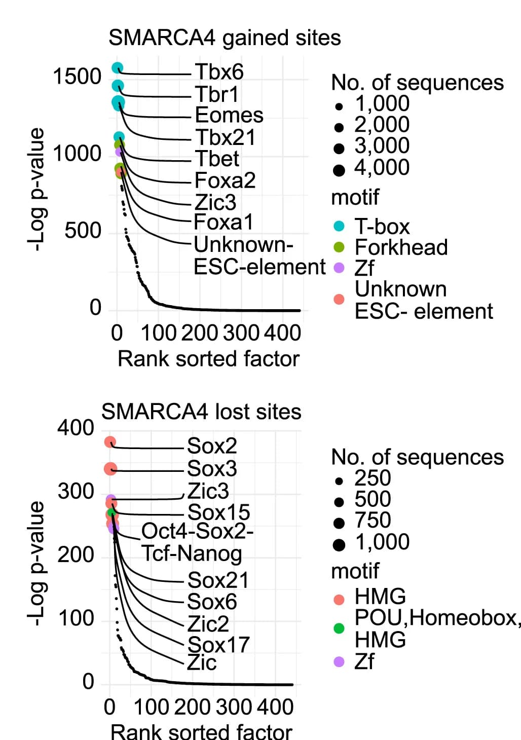 Open access visualization of Scatter Plot, Line Plot, TF-binding motifs, HOMER Analysis, SMARCA4
