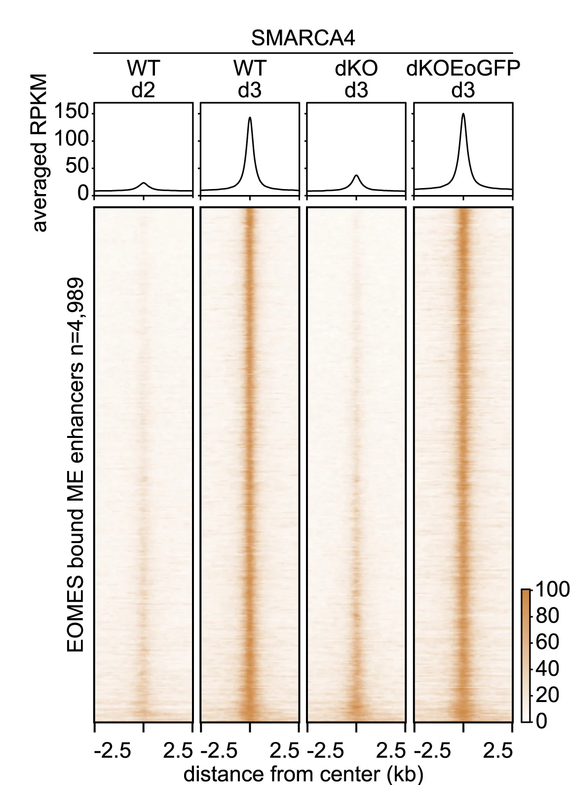Open access visualization of Heatmap, Line Plot, Meta Plots, Heatmaps, SMARCA4