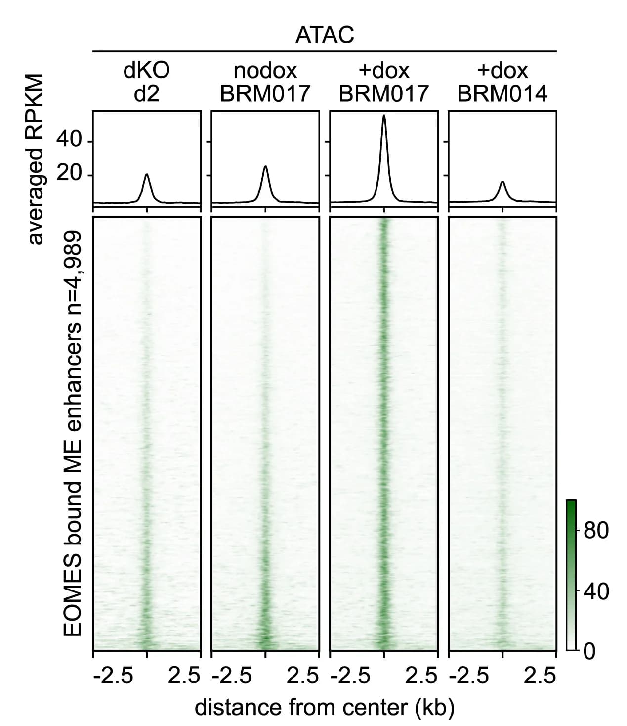 Open access visualization of Heatmap, Line Plot, Meta Plots, Heatmaps, ATAC-seq