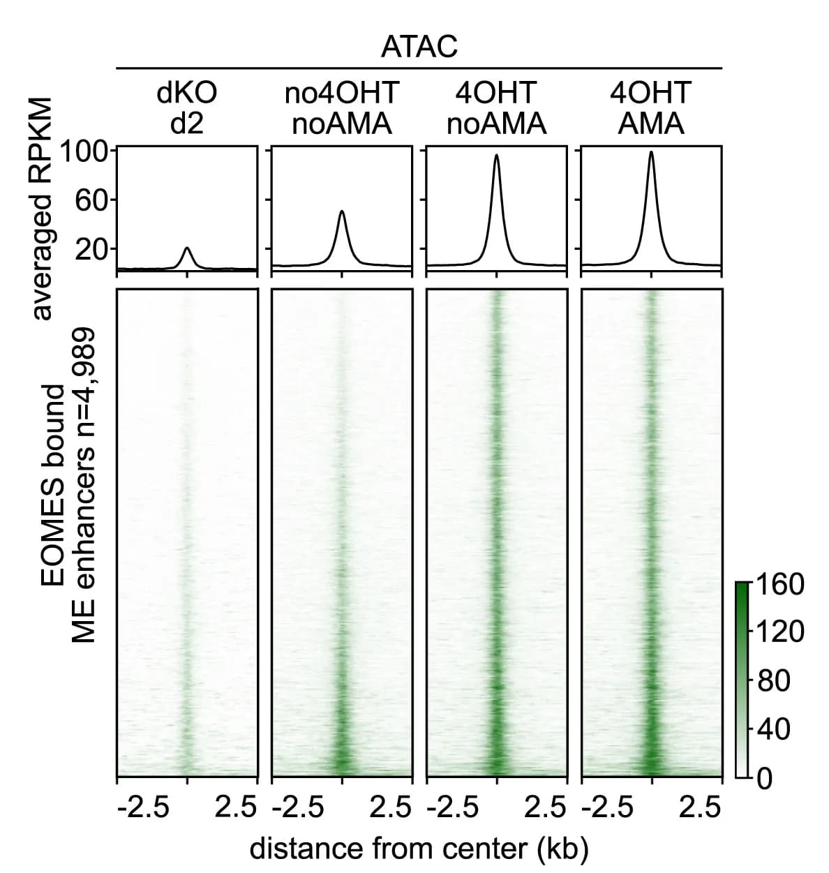 Open access visualization of Line Plot, Heatmap, Meta Plots, Heatmaps, ATAC-seq